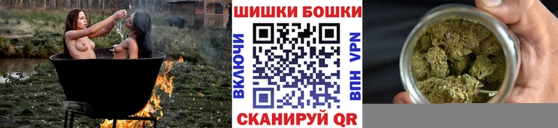 Конопля сатива  где купить   Гвардейск 